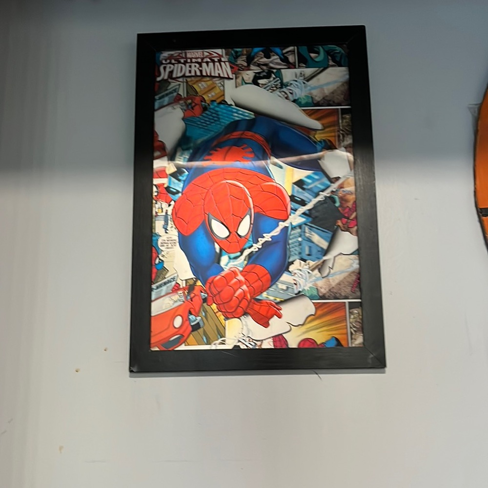 Spider Man Gallery Picture Reflective